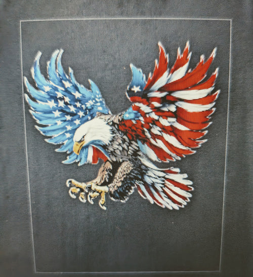 American Eagle DTF Iron-On Heat Transfer