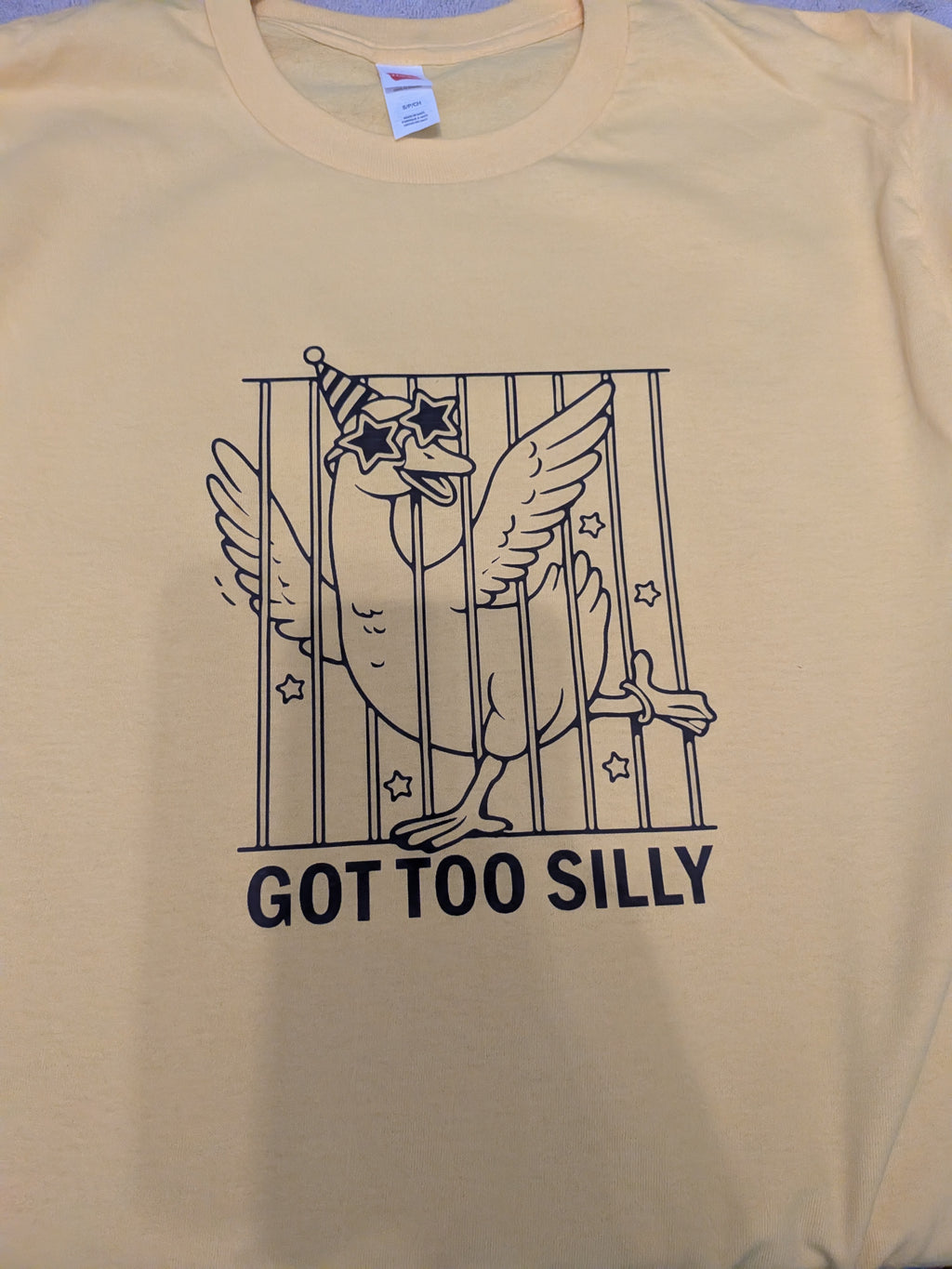 DTF Iron on Got too silly