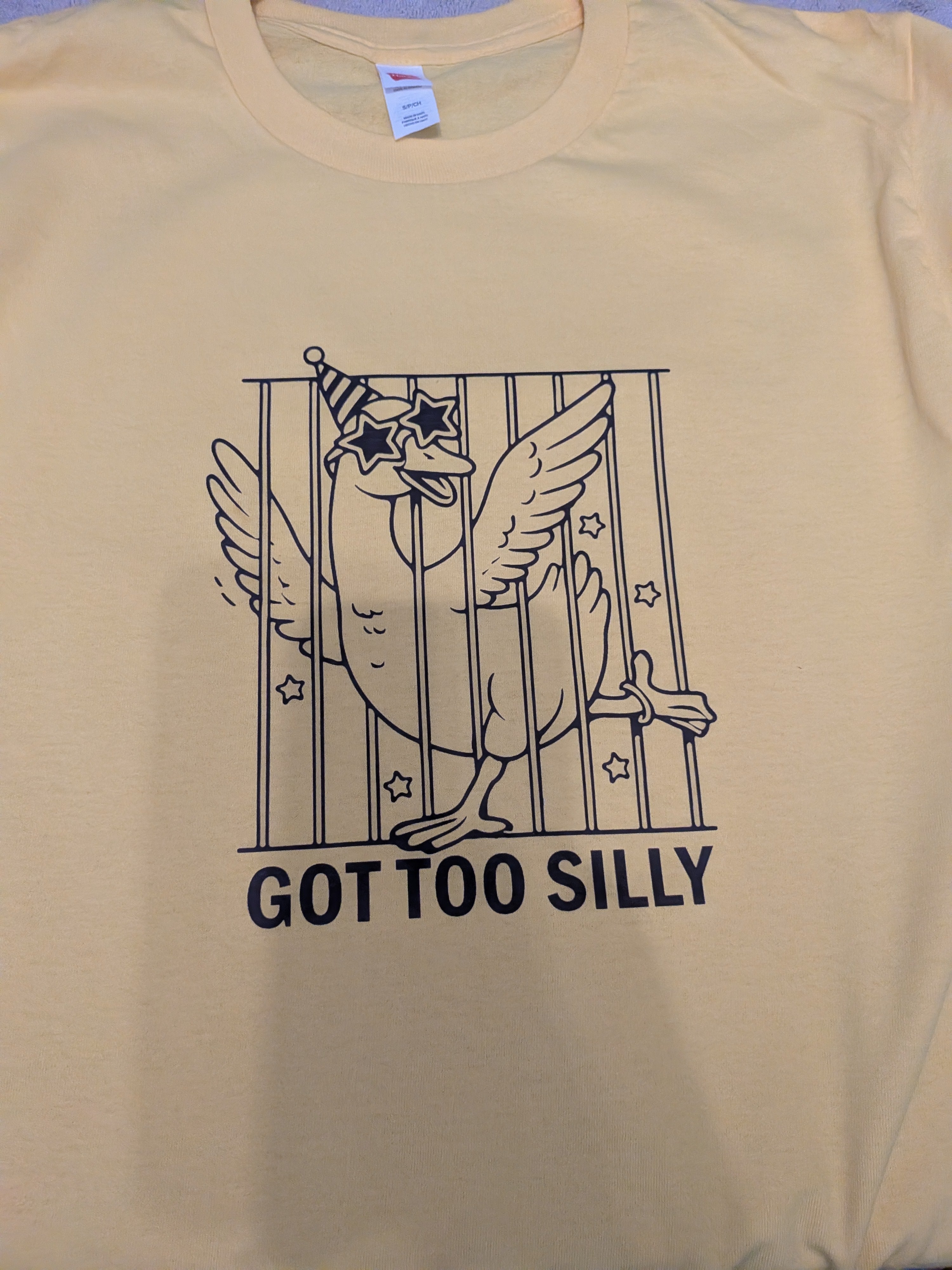 DTF Iron on Got too silly